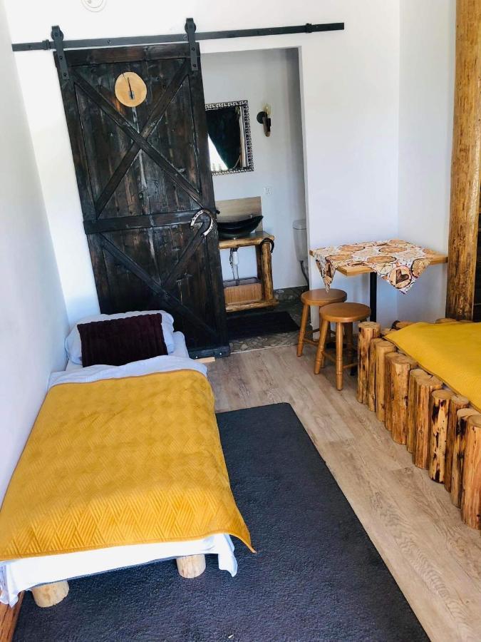 Rochowa Buznica Ζακοπάνε Εξωτερικό φωτογραφία